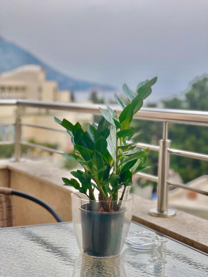 Apartments Boreta Becici Budva Exterior photo