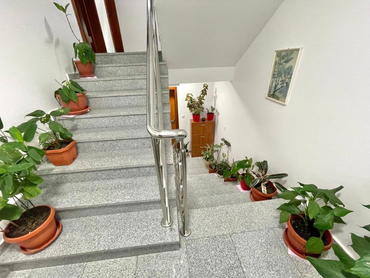 Apartments Boreta Becici Budva Exterior photo