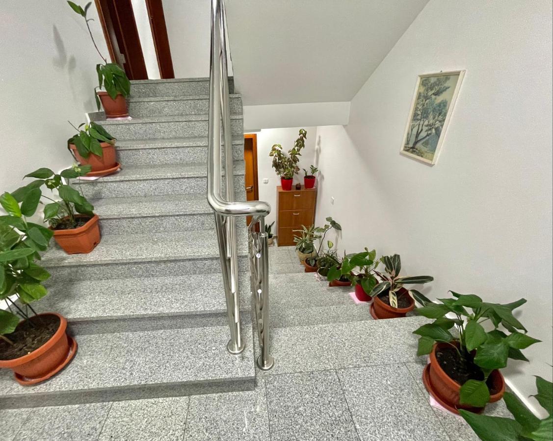 Apartments Boreta Becici Budva Exterior photo